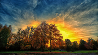 Sunset tree clouds autumn bush - a tree in the foreground free wallpaper for desktop
