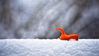 Toy dinosaur snow covered trees - a surrealist sculpture free wallpaper