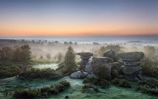 Misty sunrise field rocks trees - misty free wallpaper