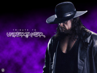 Man hat leather jacket purple 2 - bryan organ free wallpaper for desktop