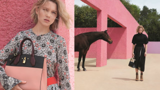 Woman purse horse pinkwall blackdress - a pink wall free wallpaper for desktop