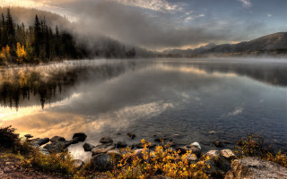 Lake trees rocks cloudy sky - a few yellow flower free wallpaper for desktop