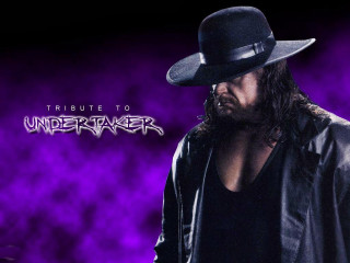 Man hat leather jacket purple 3 - andrew robertson free wallpaper for desktop