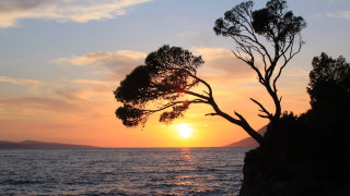 Tree cliff ocean sunset boat - exekia free wallpaper