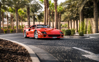 Red sports car street palm - outrun free wallpaper for desktop