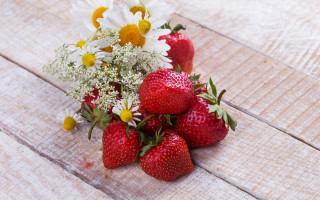 Strawberries daisies flower bouquet berry - berry free wallpaper