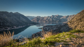 Lake mountains town flowers forest - mountain and grass free wallpaper