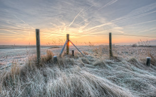 Fence sunset grass field bird - andrew geddes free wallpaper for desktop