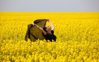 Woman field yellow flowers black - a black umbrella free wallpaper