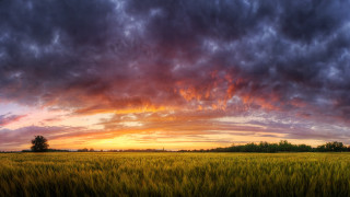 Clouds sunset horizon nature field - a sunset in the distance free wallpaper for desktop