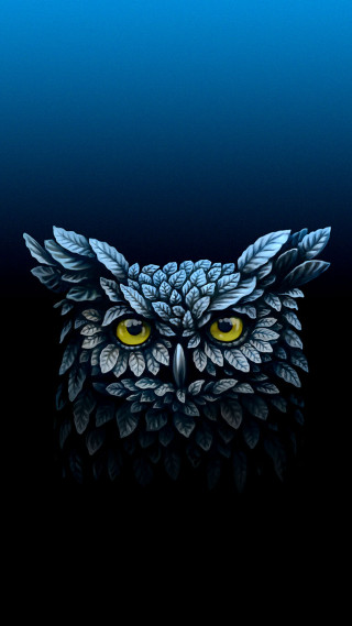 Owl yellow eyes night sky - an owl free wallpaper for mobile