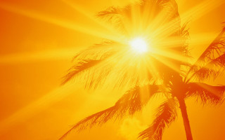 Palm tree sunset fireworks autumn - a palm tree free wallpaper