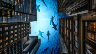 Cityscape tokyo river surreal matte - surreal photography free wallpaper for desktop