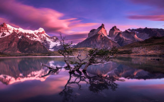 Tree water mountains sunset reflection - mystical color free wallpaper