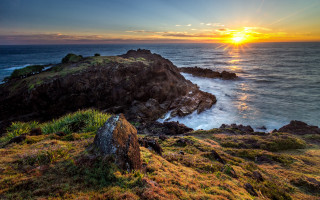 Sunset ocean rocky shore grass - a sunset over the ocean free wallpaper for desktop