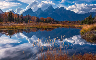 Mountain lake trees grass clouds - tree and grass free wallpaper