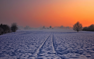Snowy field trees sunset winter - a red sky free wallpaper