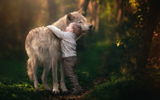 Boy hugging wolf forest sunlight - a young boy free wallpaper