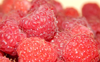 Raspberries closeup macro blurry fire - raspberry free wallpaper for desktop