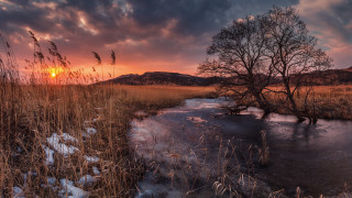 Tree sunset stream snow field - boleslaw cybi free wallpaper for desktop