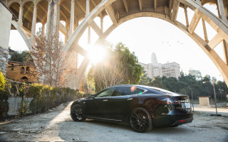 Car bridge sunlight bird urban - under a bridge free wallpaper