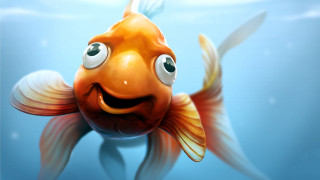 Goldfish big smile swimming bubbles - a goldfish free wallpaper