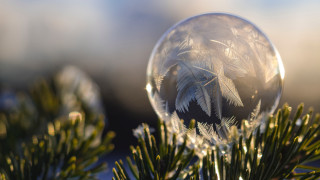 Crystal ball pine branch frosting - a crystal ball free wallpaper
