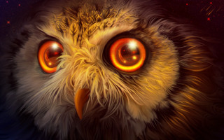Owl glowing eyes star background - a close up of an owl free wallpaper