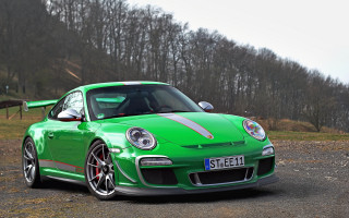 Green porsche forest fence horse - a horse free wallpaper for desktop