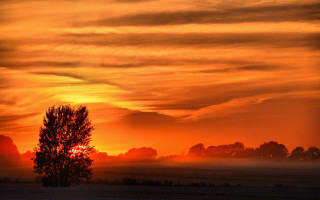 Tree sunset clouds horizon autumn - the sun setting free wallpaper