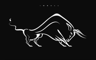 Bull longtail white black cubo - a bull free wallpaper