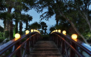 Wooden bridge lights palm trees 2 - a wooden bridge free wallpaper
