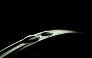 Black white plant stem moon - focus free wallpaper