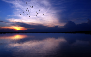 Birds lake sunset matte photography - over a lake free wallpaper
