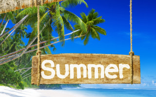 Wooden sign palm tree beach - free summer wallpaper