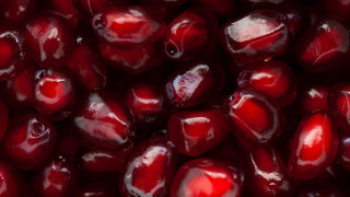 Red fruit water drops closeup - a background free wallpaper for desktop