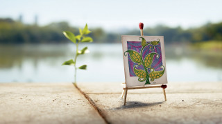 Easel plant lake beach sky - a small plant free wallpaper