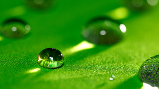 Green leaf water drops nature - a green leaf free wallpaper for desktop