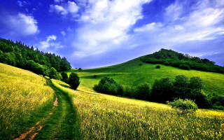 Grassy hill path forest blue - a grassy hill free wallpaper