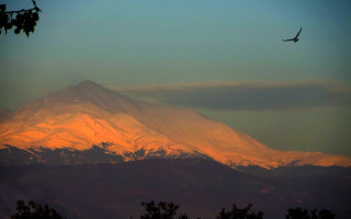 Mountain sunset plane tree ocean - over a mountain free wallpaper
