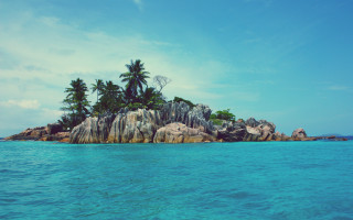 Small island palm trees ocean 11 - a small island free wallpaper