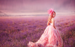 Pink dress girl lavender field - a pink hat free wallpaper