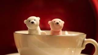 White bears coffee saucer florianne - a saucer free wallpaper