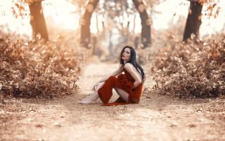 Woman red dress forest autumn 2 - tree and bushes free wallpaper