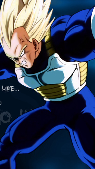 Vegeta saiyan armor spiked hair - helmet free wallpaper