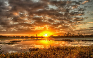 Sunset lake clouds trees bushes - a few bush free wallpaper