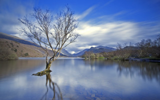 Lone tree lake mountains clouds - a lone tree free wallpaper