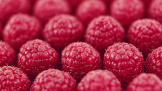 Raspberries closeup blurry background tiltshift - a close up of a bunch free wallpaper