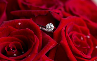 Romantic rose diamond ring water - a diamond ring free wallpaper
