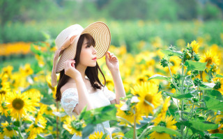 Sunflower field woman hat white - field free wallpaper for desktop